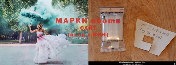 амф Осташков