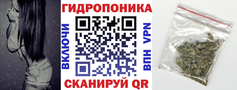 Канабис Bruce Banner  цены наркотик  Терек 